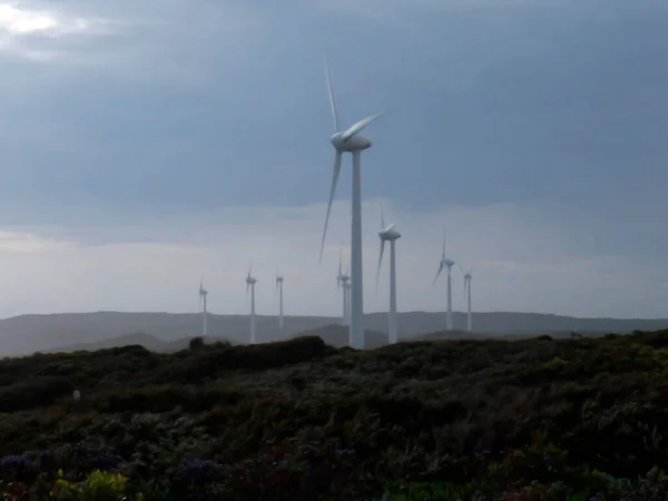 Turbiny Wiatrowe Farmie Wiatrowej Australii Pochmurny Dzień — Zdjęcie stockowe