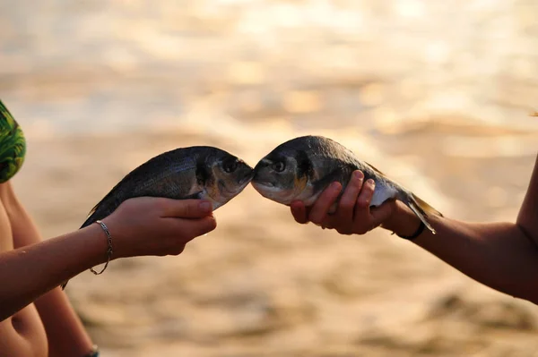 Dvě Ženy Drží Dvě Ryby Pohromadě Při Západu Slunce Moře — Stock fotografie