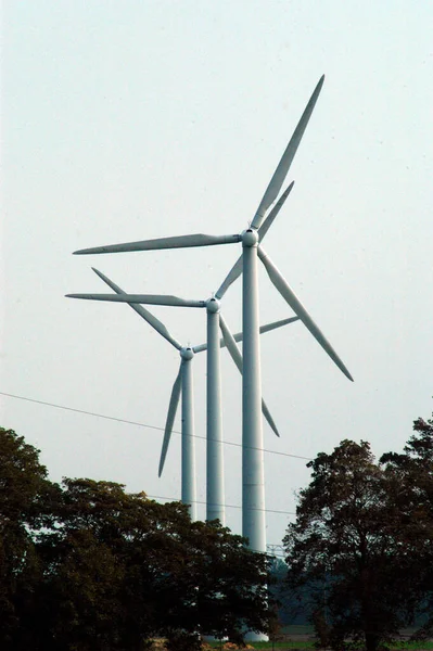 风力涡轮机在一个风力发电场 在一棵树旁的田里 — 图库照片