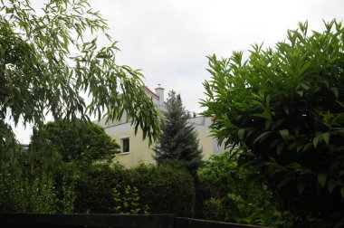 Işıksız yeşil bitki örtüsü olan daire