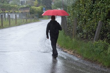 Kaldırımda trafik tehlikesi, kırmızı şemsiyeli adam sokakta yağmurda yürüyor.