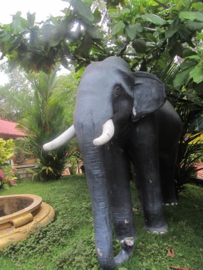 Hindistan, Hampi 'de bir tapınaktaki fil sembolü.