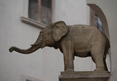 Sandıklı ve başı sokakta olan bir filin sembolü