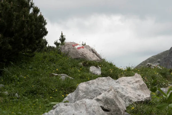 Rojo Blanco Rojo Sendero Senderismo Marcado Las Montañas Los Alpes — Foto de Stock