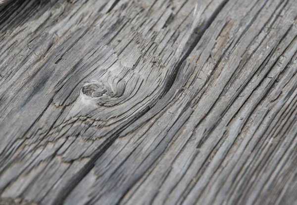 Trekorn Planke Naturteksturer Mønstre Tre – stockfoto