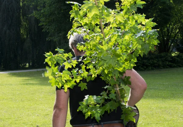 Trädgårdsmästare Arbetar Med Blommor Och Växter Utomhus Naturen — Stockfoto