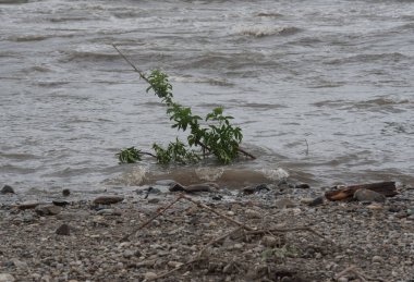Şiddetli yağmurdan sonra yüksek suyu olan bir nehir, doğal afet.