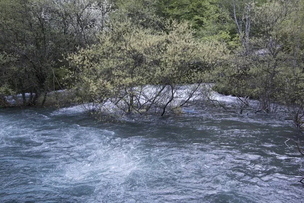 自然灾害后水位很高的河流 — 图库照片