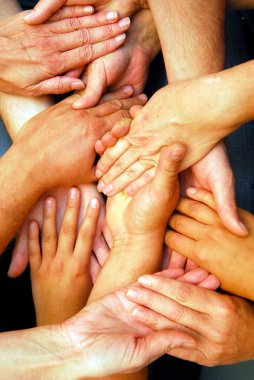 Ekip üyelerinin bir projesinde, organizasyonunda ve liderliğinde ağ kurmak ve işbirliği yapmak
