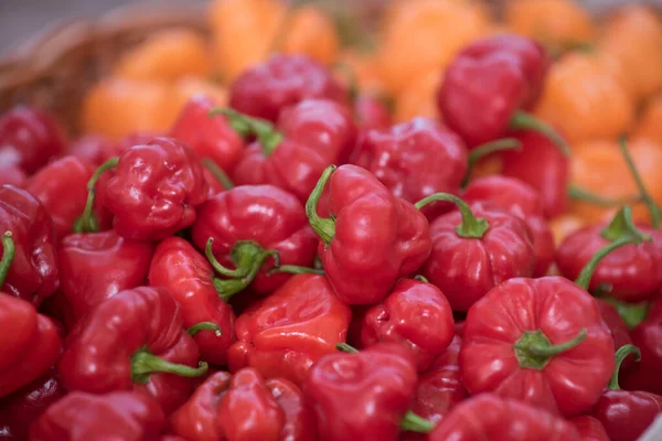 Chiles Pepperoni Especias Verduras Picantes Para Cocinar — Foto de Stock