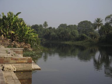 Hindistan 'ın Kerala bölgesinde durgun sular ve bataklık.