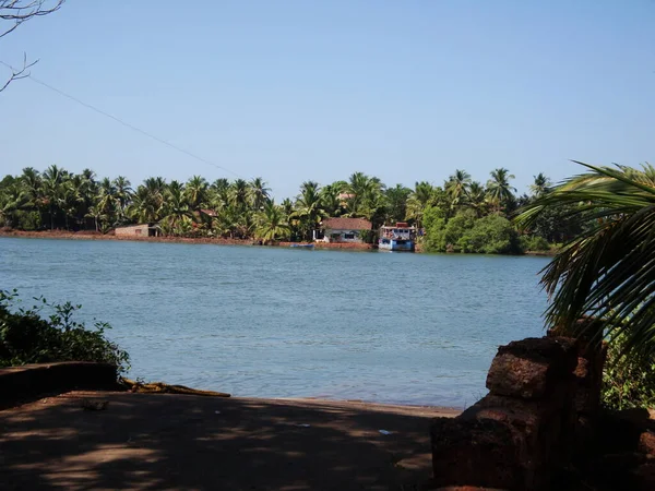 Fundalurile Mlaștinile Din Regiunea Kerala Din India — Fotografie, imagine de stoc