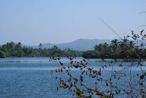 インドのケーララ州の海水と湿地帯は — ストック写真