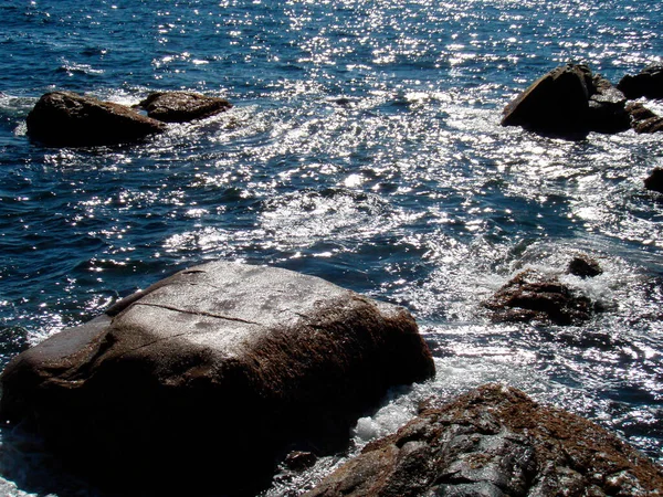 Coastline Beach Summer Holidays Sea — Stock Photo, Image