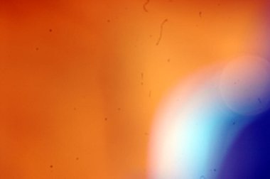 turuncu renk, eğlence, sıcaklık, sonbahar ve tehlike ile ilgili.