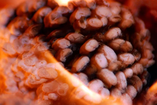 Cor Laranja Associada Com Diversão Calor Outono Perigo — Fotografia de Stock