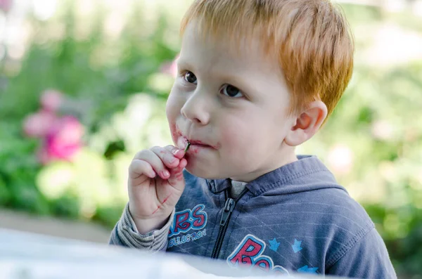 Bambino Tre Anni Con Capelli Rossi Mangia Ciliegie Viso Del — Foto Stock