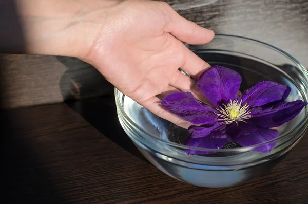 Girl's hand touches a large purple flower. Aromatherapy, spa treatments. Preparing nails for manicure