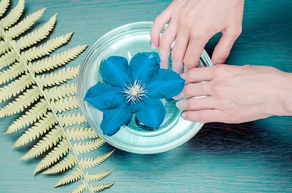 Woman Holds Hands Transparent Bowl Water Bowl Water Fern Leaf — Stock Photo, Image