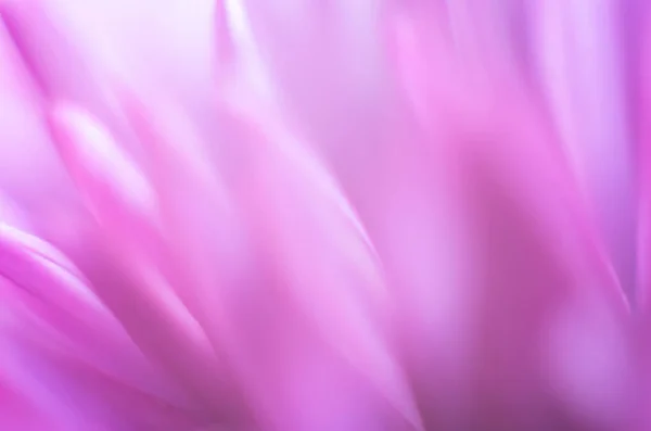 Fondo Floral Borroso Delicado Color Rosa Hermosas Flores Hechas Con — Foto de Stock
