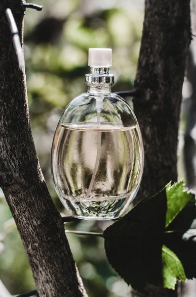Vrouwelijke parfumfles met boomtakken. Parfum op een natuurlijke achtergrond. — Stockfoto