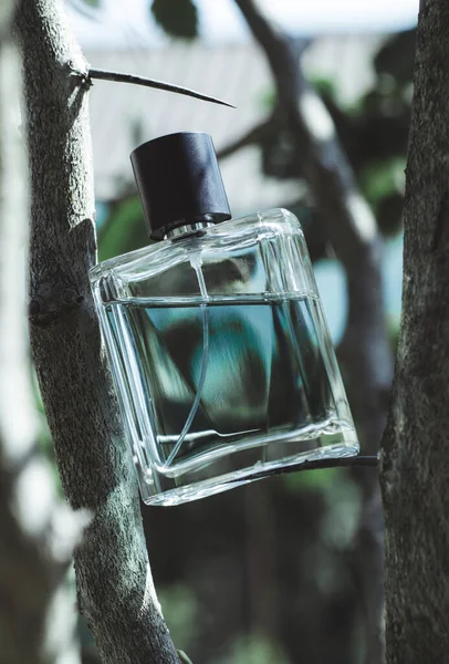 Male perfume bottle with tree branches. Perfume on a natural background. — Stock Photo, Image