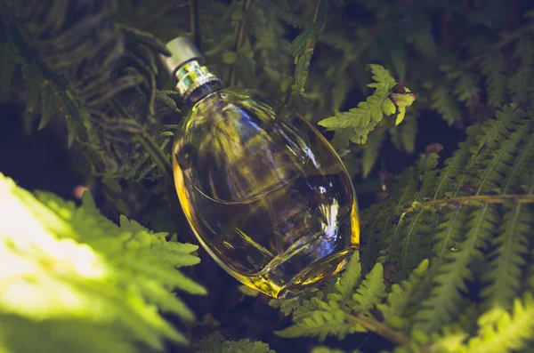 Uma Garrafa Perfume Feminino Folhas Samambaia — Fotografia de Stock