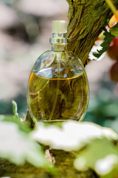 Butelka Kobiecych Perfum Liściach Drewnianym Tle — Zdjęcie stockowe