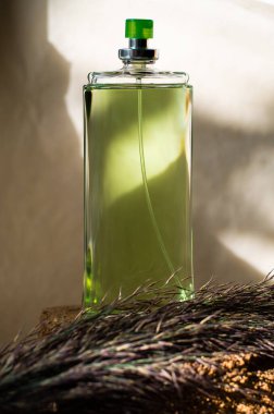 Hafif arka planda bir şişe kadın parfümü. Gölgesi ve kamış dalıyla birlikte.