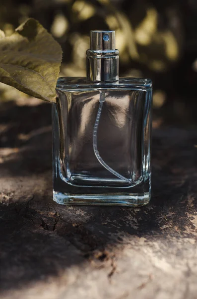 Een fles mannenparfum op de achtergrond van de natuur. Parfum op een achtergrond van donkergroene bladeren — Stockfoto