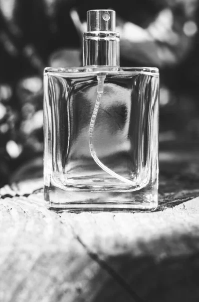 Black and white photo of mens perfume. Perfume bottle on a wooden background. — Stock Photo, Image