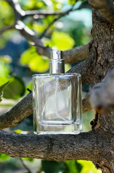Mens perfume on a tree branch. Perfume on a background of leaves. Perfume bottle on a green background. — Stock Photo, Image