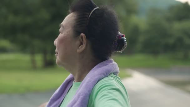 アジアの古い女性は公園で単独で太極拳武道ダンスエクササイズを行い 健康であること 引退生活 ゆっくりとバランスをとる動きをリラックスして穏やかで環境を感じます — ストック動画