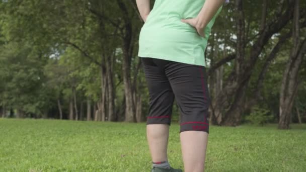Asiática Mujer Mediana Edad Con Sobrepeso Haciendo Rotación Cadera Ejercicio — Vídeos de Stock