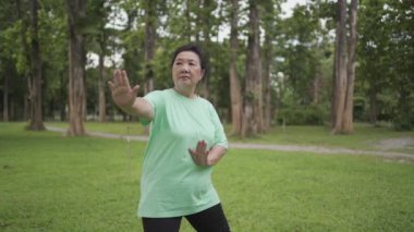 Aşırı kilolu yaşlı kadın parkta Çin dövüş sporu yapıyor. Tai chi chuan, emekli olduktan sonra sağlıklı yaşam, yavaş tempo hareketi, derin nefes al sakin meditasyon.