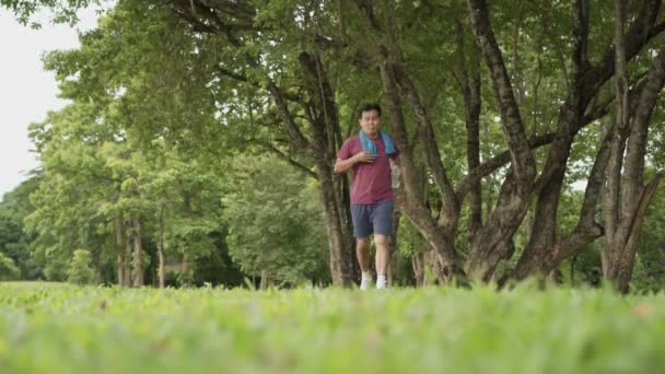 Asiático Meia Idade Homem Correndo Descansando Parque Sob Árvores Descanso — Vídeo de Stock