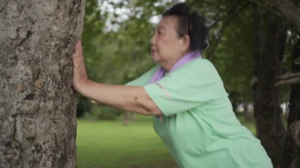 アジアの重量の女性は 木を押す運動をしている 公立公園でのシニアライフ 健康的なライフスタイル 人間のウェルネスベビーブーム世代 乳癌と戦う 古い女性が働く — ストック動画