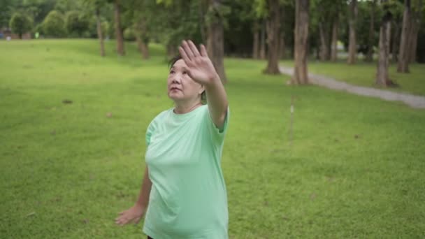 Asiatico Sovrappeso Donna Anziana Facendo Tai Chi Arti Marziali Esercizio — Video Stock