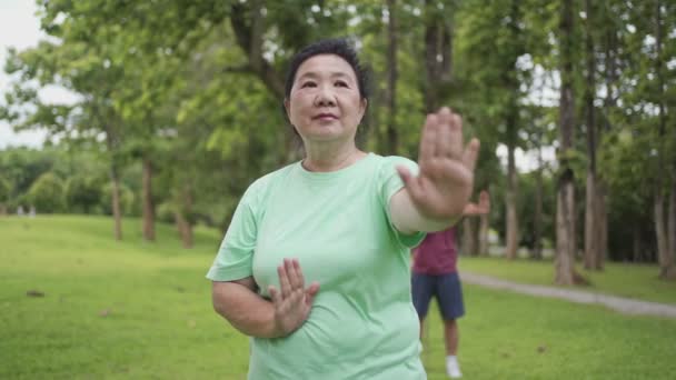 Asiático Meia Idade Feminino Praticando Tai Chi Chinês Artes Marciais — Vídeo de Stock