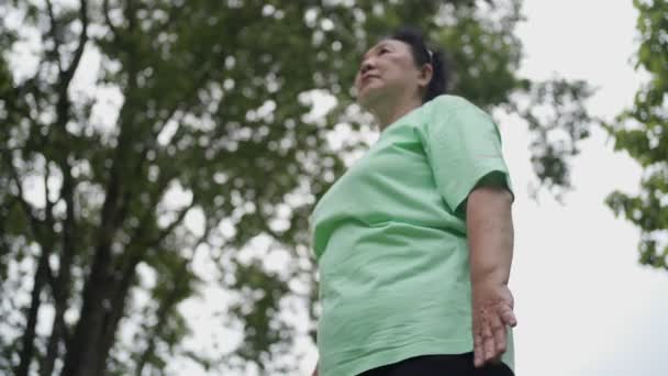 Азиатский Лишний Вес Женщина Среднего Возраста Делает Тай Стоя Упражнения — стоковое видео