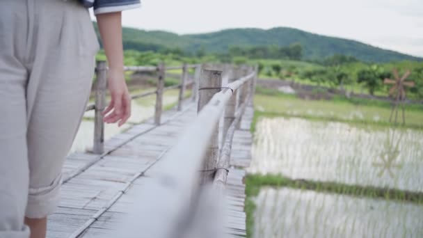 年轻女子光着脚在木桥上行走 心平气和地思考问题 悠闲自在地走在人行道上 生活在自然界中 在低矮的地板上 带着美丽的草地在户外漫步 — 图库视频影像