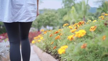 Genç bir kadın güzel çiçek çalıları arasında yürüyor, Flora Garden 'da yürüyor, mutlu bir duygu sahnesi, rahatlama seyahati, hayat sağlığı, genç yaşlar, kadın göğüs kanseri.