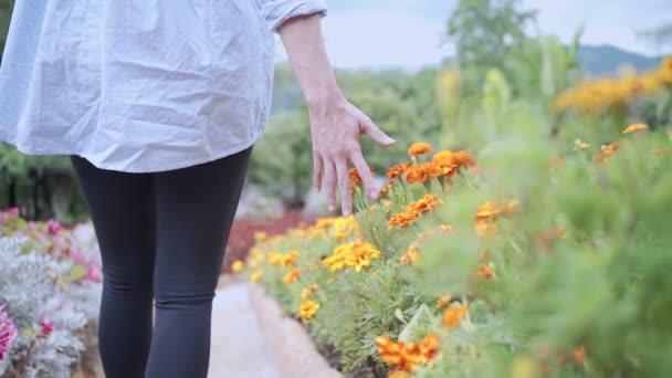 Jovem Caminhe Longo Belas Flores Arbustos Lado Andando Dentro Flora — Vídeo de Stock