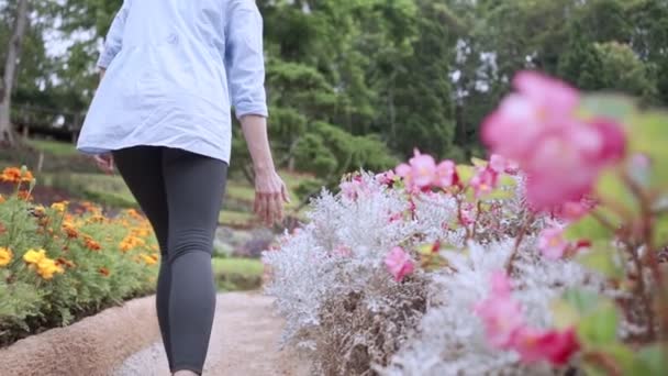 Jeune Femme Marcher Long Beaux Buissons Fleurs Sur Côté Marcher — Video