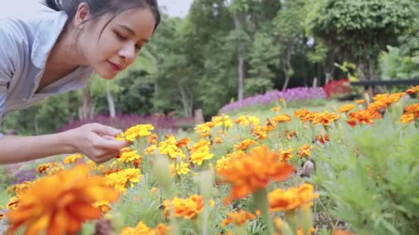 Young Asian Woman Bending Touch Take Closer Look Beautiful Yellow — Stock Video