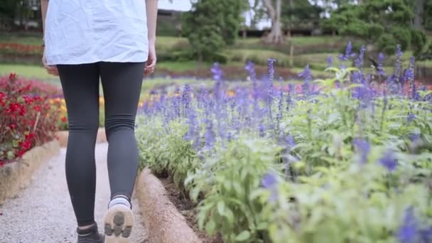 Genç Bir Kadın Güzel Çiçek Çalıları Arasında Yürüyor Flora Garden — Stok video