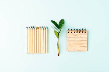 Kağıt defter, kalem, yeşil yapraklar filiz ve geri dönüşümlü kırtasiye üst görünümü. Sıfır atık, çevre dostu, doğal organik plastik konsept. Dünya, kopyalama alanı ile ayrıştırılabilir