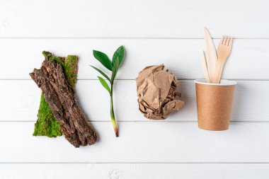 Kağıt bardak, yeşil yapraklar filiz, ağaç kabuğu ve geri dönüşümlü çatal bıçak. Sıfır atık, çevre dostu, doğal organik plastik konsept. Dünya, kopyalama alanı ile ayrıştırılabilir.