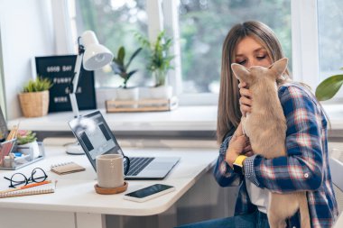 Yavru köpeği olan güzel bir kadın evde oturup kahve içerken dizüstü bilgisayarda çalışıyor. Uzaklık öğrenme çevrimiçi eğitim ve çalışma.