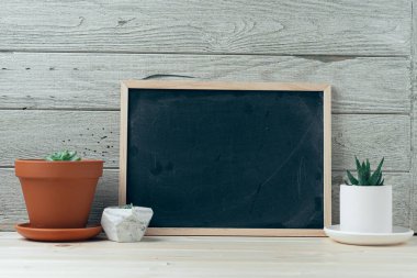 Odanın içi ahşap masadaki tebeşir karatahta çerçevesiyle süslenmiş. İçinde güzel kaktüsler ve beton kaplar var. Gri duvarlar. Karatahta çerçevesini biçimlendirme konsepti.